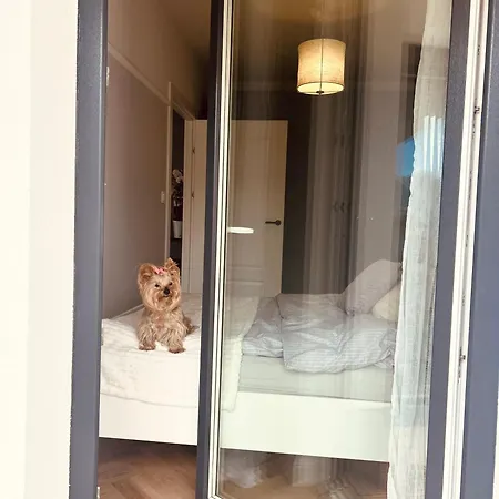 Downtownapartments * ジェシュフ