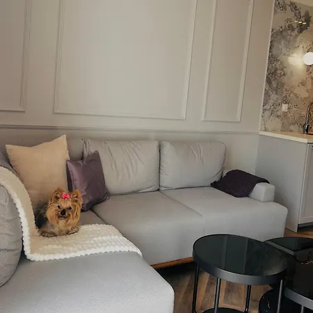 Downtownapartments *