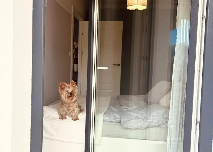 Downtownapartments * 热舒夫