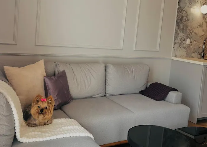 Downtownapartments *